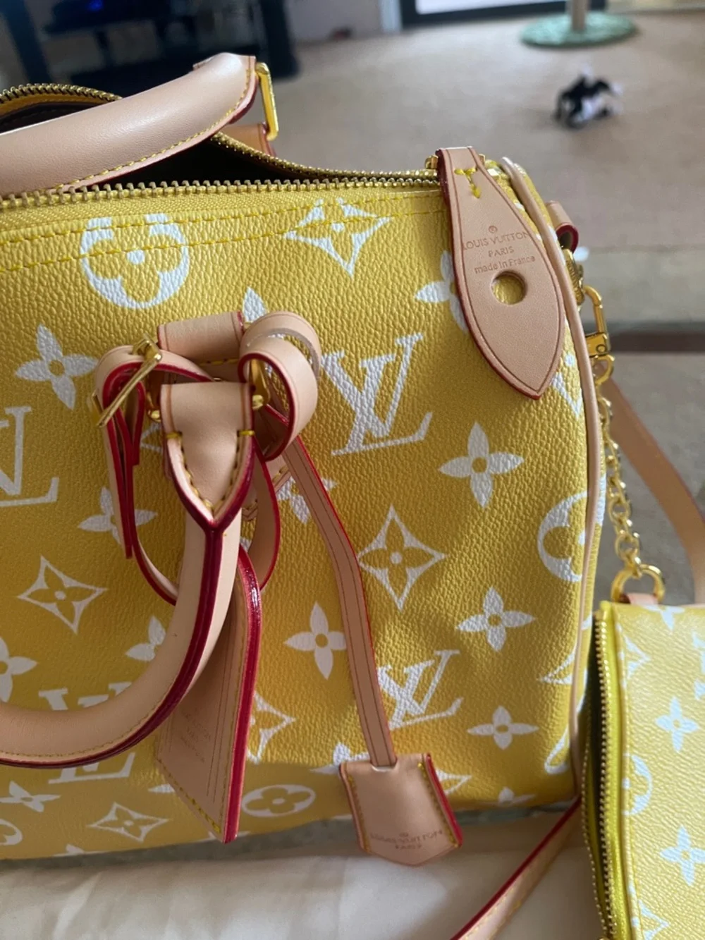 Speedy 30 new - Picture 4 of 13